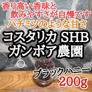 自家焙煎 コーヒー豆 注文後焙煎 コスタリカ SHB ブラックハニー 200g(コーヒー)