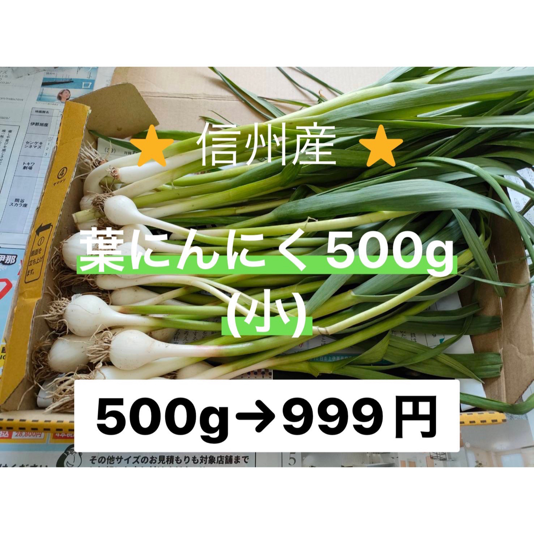 葉にんにく（小）500g 長野県産　信州　産地直送 食品/飲料/酒の食品(野菜)の商品写真