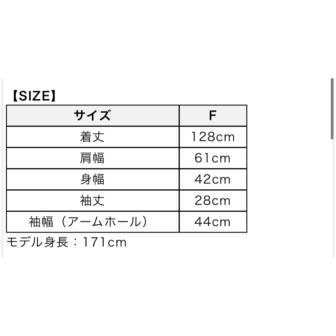 ACYM(アシーム)のacym sea through dress レディースのワンピース(ロングワンピース/マキシワンピース)の商品写真