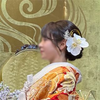 胡蝶蘭　髪飾り(その他)