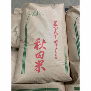 なっちょ様専用 令和5年 秋田県産【ひとめぼれ】玄米25kg(米/穀物)