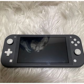 Nintendo Switch - Nintendo Switch Lite グレー