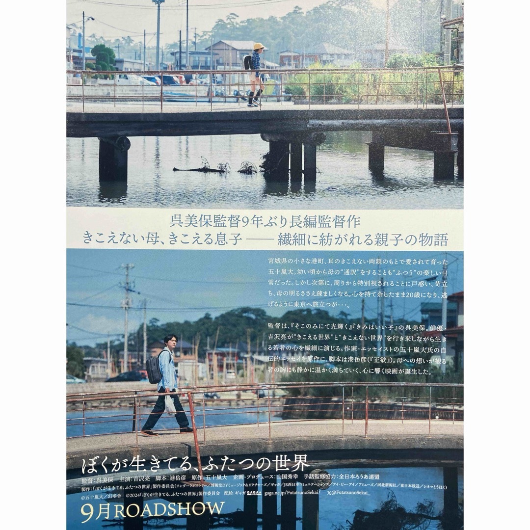 映画　ぼくが生きてる、ふたつの世界　B5 フライヤー チラシ　５枚　吉沢亮 エンタメ/ホビーのコレクション(印刷物)の商品写真