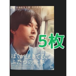 映画　ぼくが生きてる、ふたつの世界　B5 フライヤー チラシ　５枚　吉沢亮