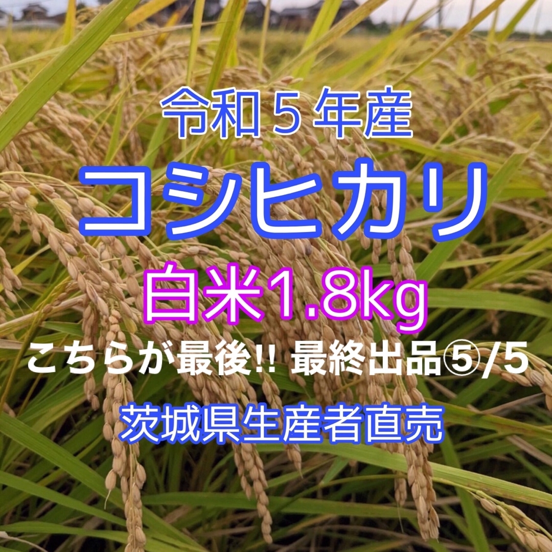 令和5年産　コシヒカリ　1.８kg　白米　１等米　茨城県生産者直売　☆送料無料☆ 食品/飲料/酒の食品(米/穀物)の商品写真