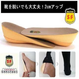 ●必ず出品者情報欄をご覧下さい。発送時期に関するお知らせがございます。 (その他)