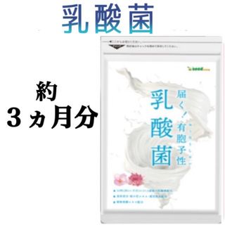 【乳酸菌】約３ヶ月分 ☆毎日ハリ感でお悩みの方に！酵素も配合！(その他)