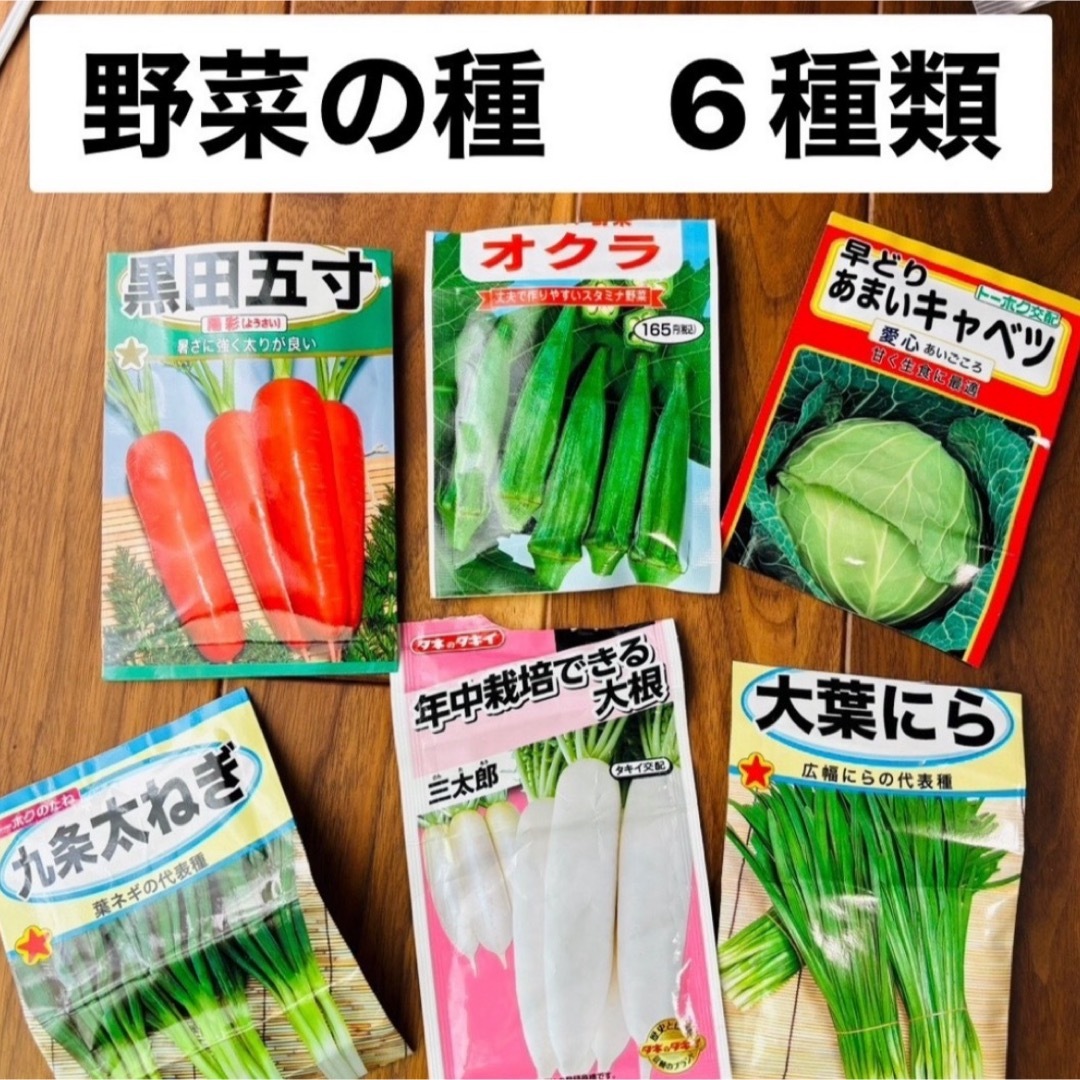 夏野菜の種　6種類　家庭菜園 食品/飲料/酒の食品(野菜)の商品写真