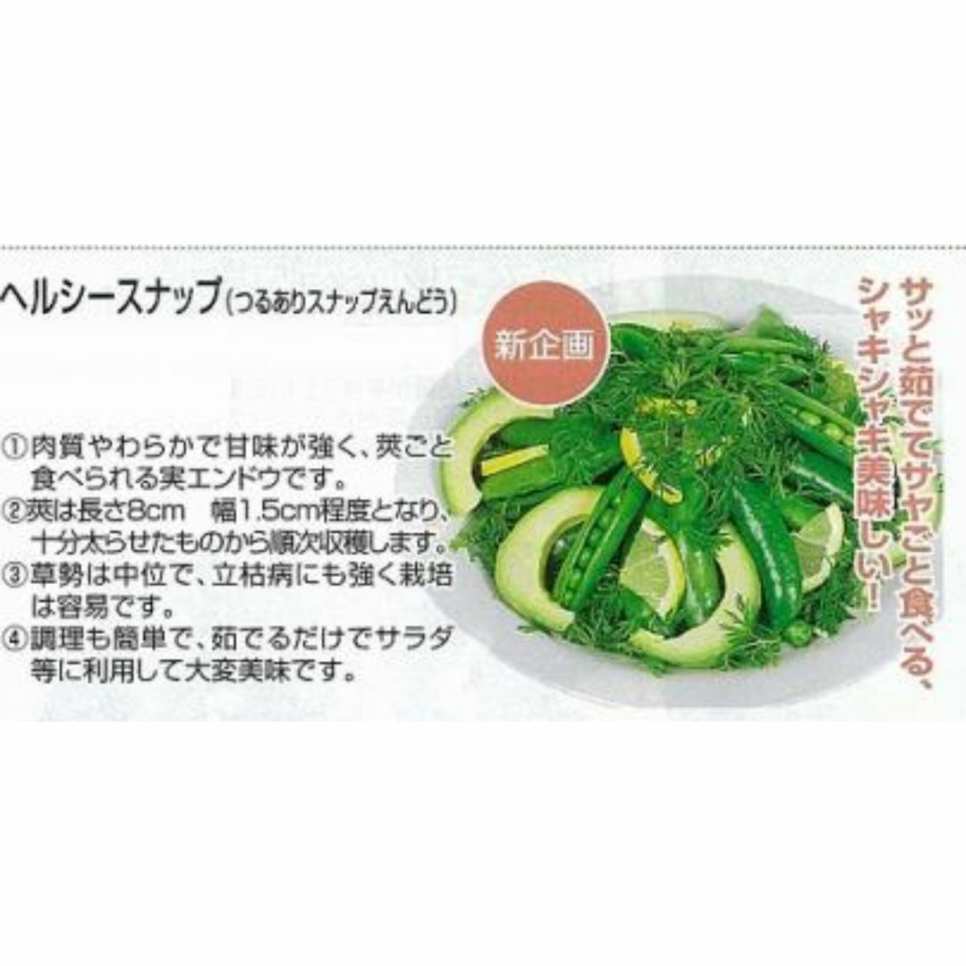 ＜野菜の種＞３０粒　スナップエンドウ　ヘルシースナップ　つるあり ハンドメイドのフラワー/ガーデン(プランター)の商品写真