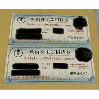 東宝　株主優待券　 映画鑑賞券　2枚セット(その他)