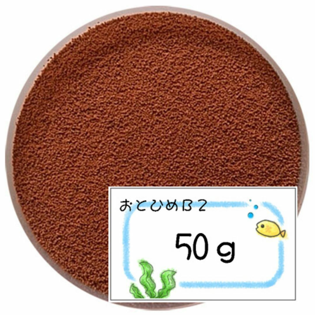 日清丸紅飼料おとひめB2(0.36～0.62mm)50g/沈降性めだかごはん その他のペット用品(アクアリウム)の商品写真