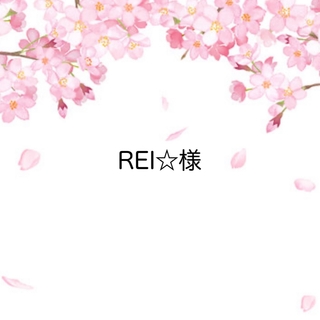 REI☆様　専用ページ(その他)