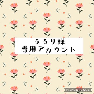 うるり様専用アカウント(つけ爪/ネイルチップ)