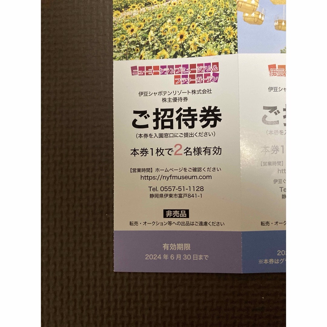 【値下げ！】伊豆ぐらんぱる公園　フラワーパーク　ご招待券 チケットの優待券/割引券(その他)の商品写真