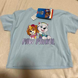 パウパトロール(パウ・パトロール)のパウ・パトロール　tシャツ　半袖　水色　男の子　女の子　シンプル(Tシャツ/カットソー)