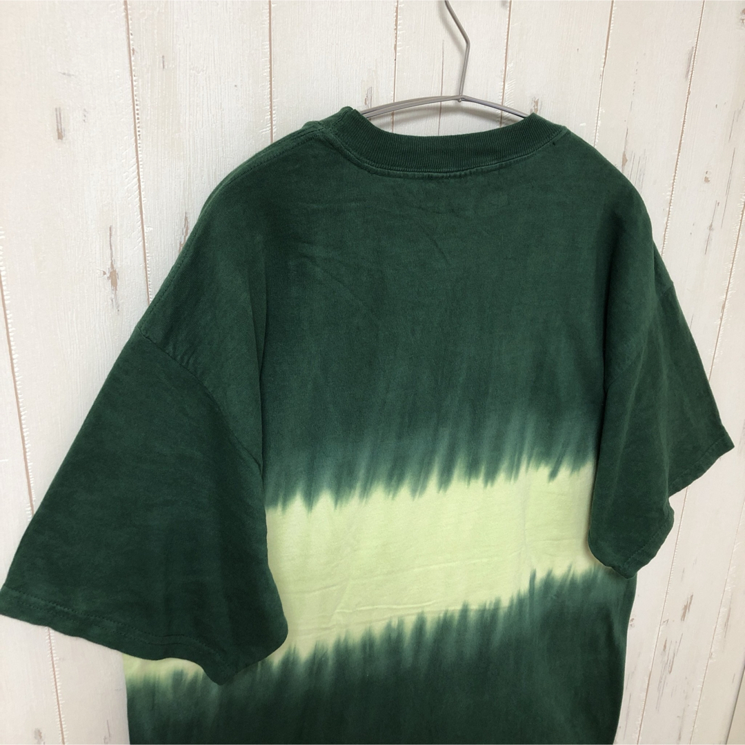 アニマルプリント tシャツ 半袖 カエル 蛙 フロリダ 緑 M&O L 海外古着 メンズのトップス(Tシャツ/カットソー(半袖/袖なし))の商品写真