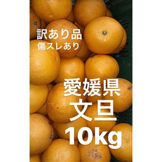 訳あり品　愛媛県産　文旦　柑橘　10kg(フルーツ)