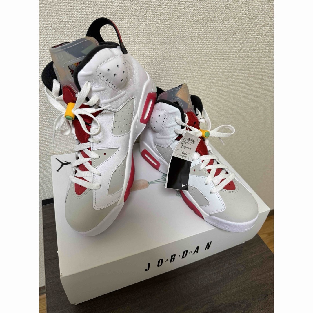 Jordan Brand（NIKE）(ジョーダン)のNIKE AIR JORDAN 6 RETRO HARE メンズの靴/シューズ(スニーカー)の商品写真