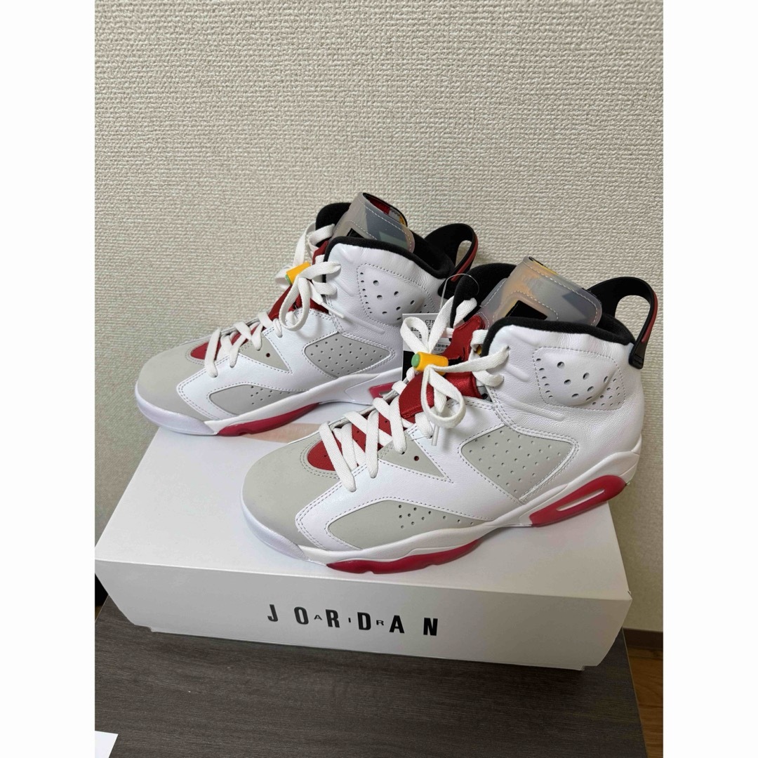 Jordan Brand（NIKE）(ジョーダン)のNIKE AIR JORDAN 6 RETRO HARE メンズの靴/シューズ(スニーカー)の商品写真