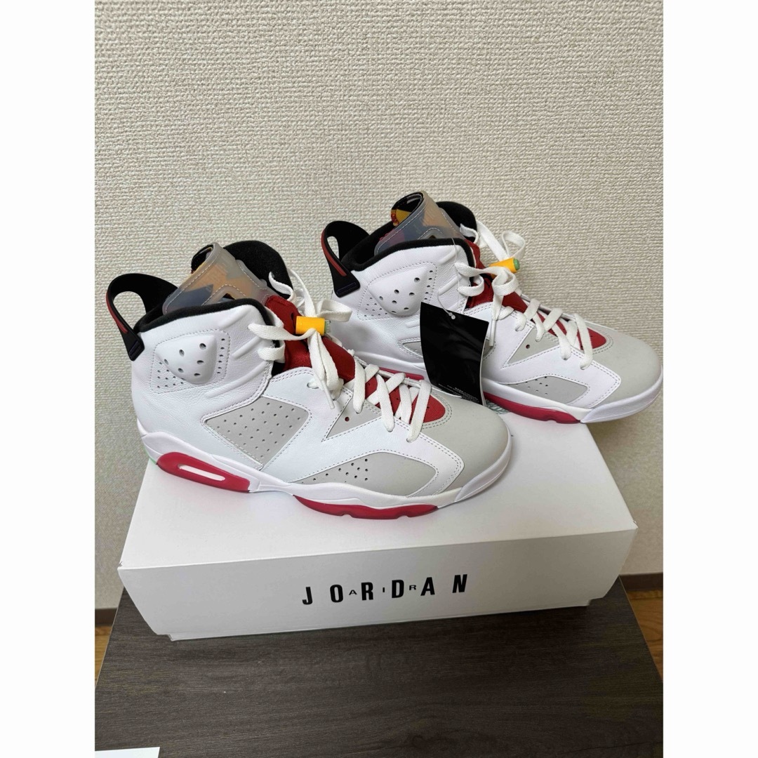 Jordan Brand（NIKE）(ジョーダン)のNIKE AIR JORDAN 6 RETRO HARE メンズの靴/シューズ(スニーカー)の商品写真