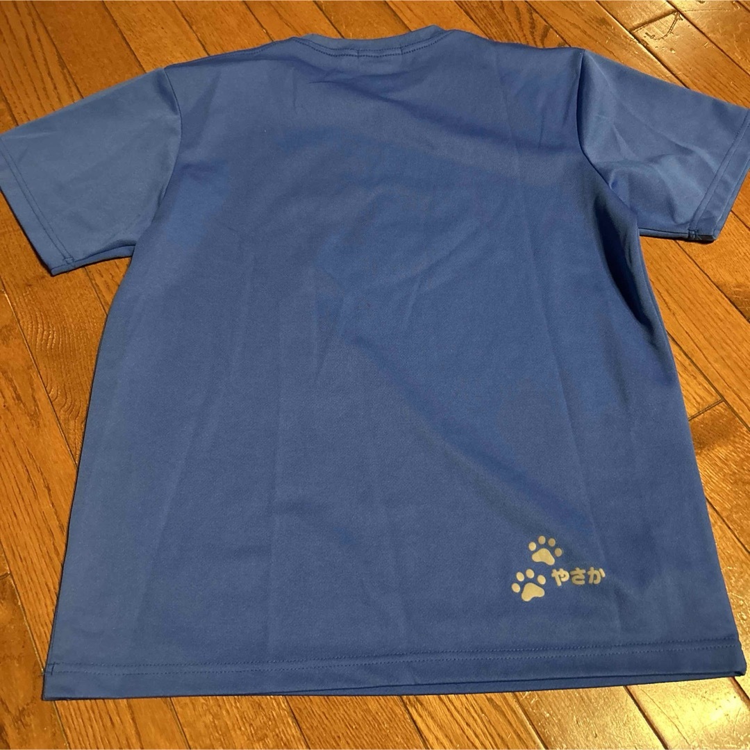 Yasaka(ヤサカ)の卓球　Tシャツ　猫　ウォンテッド　やさか　メンズM メンズのトップス(Tシャツ/カットソー(半袖/袖なし))の商品写真