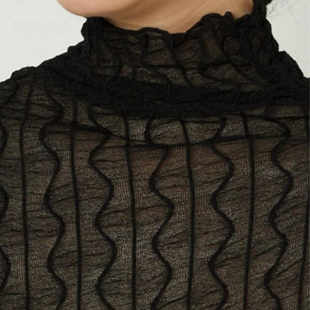 Kst00 シアートップス 透け感 シースルー 重ね着 タートルネック ブラック レディースのトップス(カットソー(長袖/七分))の商品写真