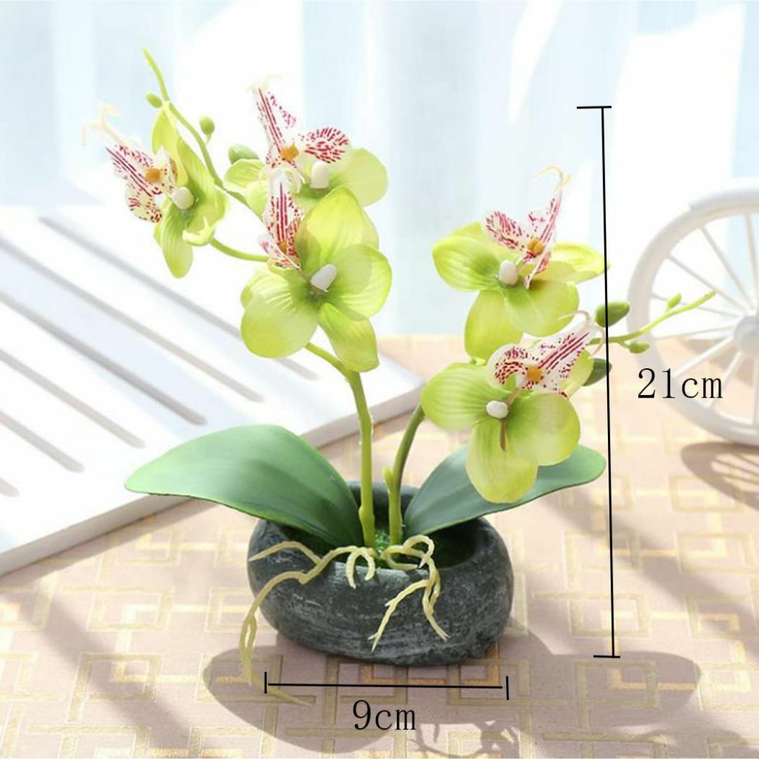 【色: グリーン】胡蝶蘭 人工観葉植物 光触媒加工 造花 卓上型 船型の鉢植 石 その他のその他(その他)の商品写真