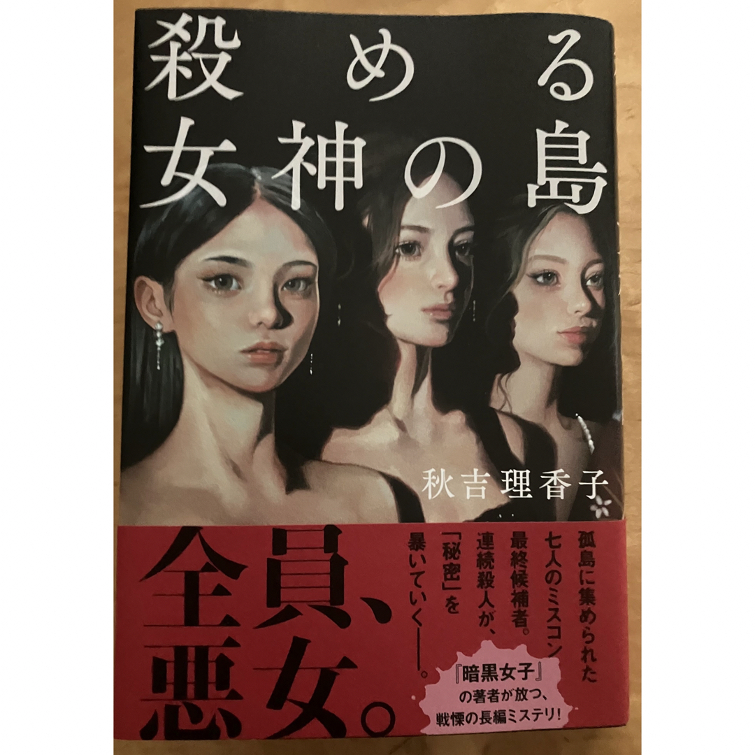 殺める女神の島 エンタメ/ホビーの本(文学/小説)の商品写真