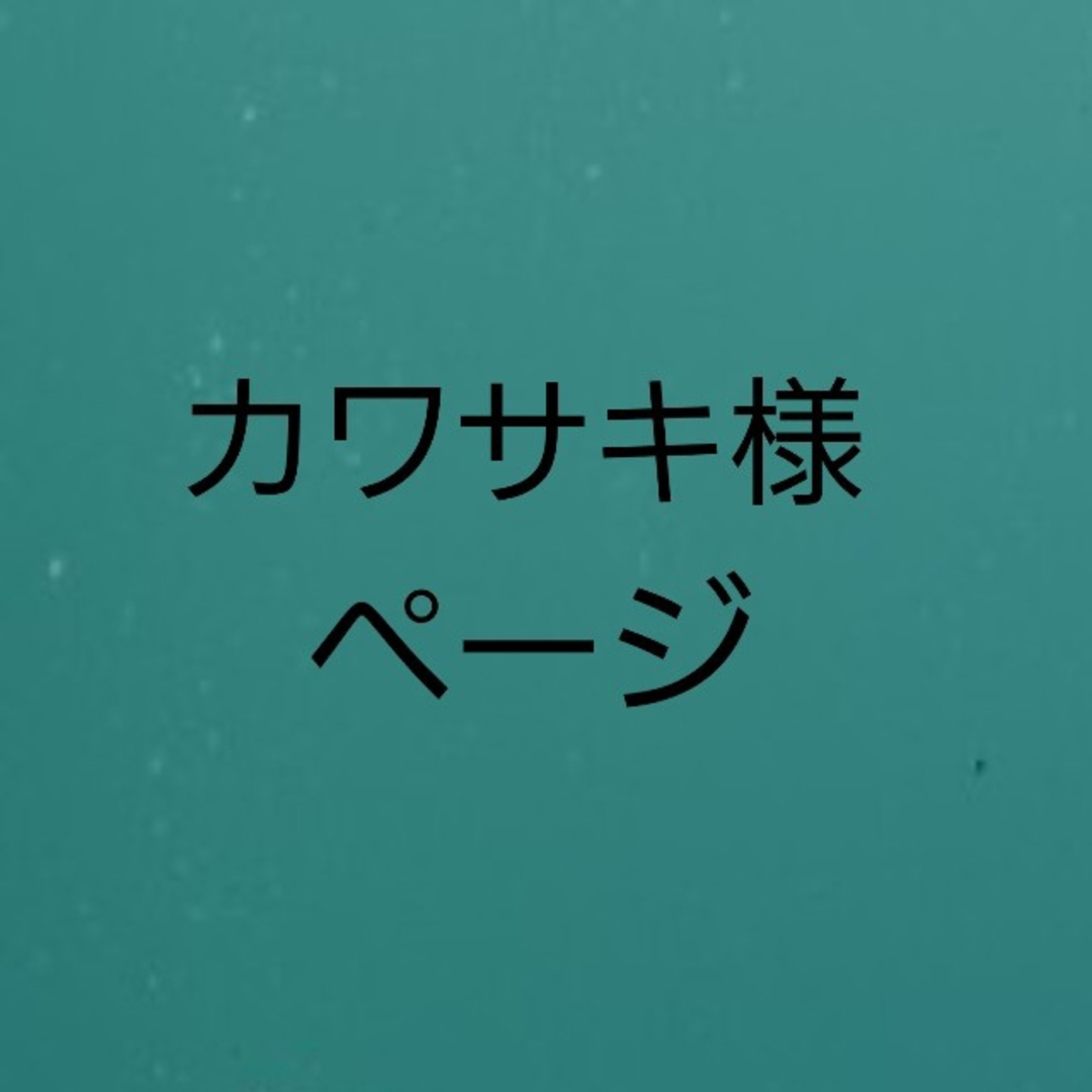 カワサキ様 スポーツ/アウトドアのアウトドア(食器)の商品写真