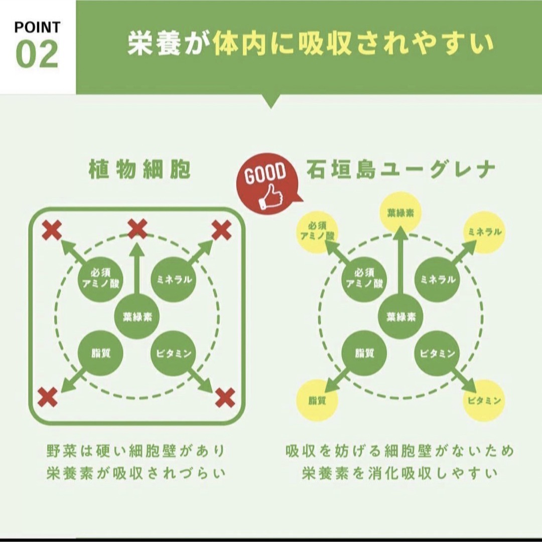 からだにユーグレナ 2箱 40本 グリーンパウダー 青汁 健康食品 ケール 食品/飲料/酒の健康食品(青汁/ケール加工食品)の商品写真