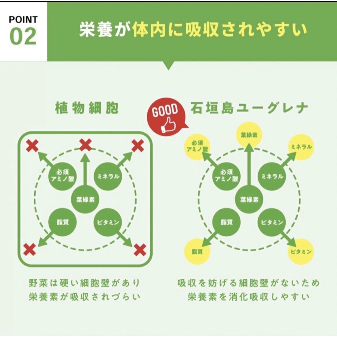 ユーグレナ 2箱 40本 からだにユーグレナ 青汁 グリーンパウダー 健康食品 食品/飲料/酒の健康食品(青汁/ケール加工食品)の商品写真