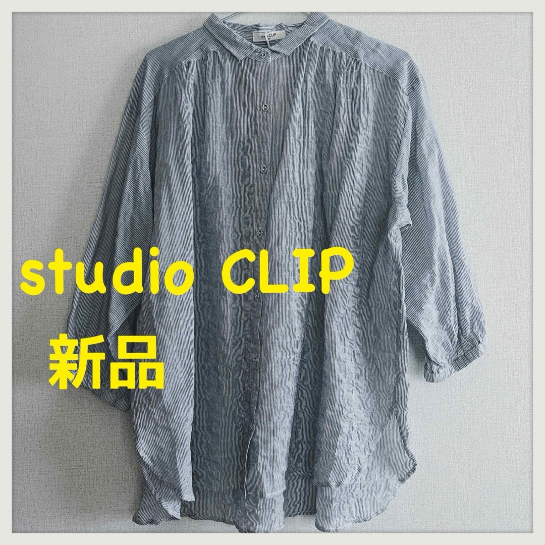 STUDIO CLIP(スタディオクリップ)のスタディオクリップ　ブラウス　ストライプシャツ　コットンボイル　新品 レディースのトップス(シャツ/ブラウス(長袖/七分))の商品写真