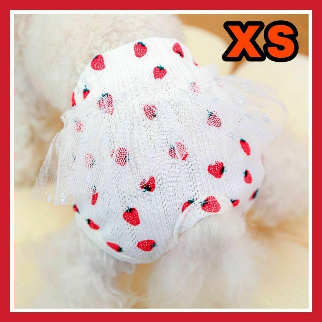 XS　サニタリーパンツ　苺　犬　ペット　ホワイト　散歩　女の子　女の子の日 その他のペット用品(犬)の商品写真