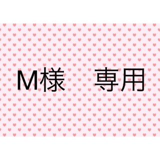 M様　専用ページ(シングルカード)
