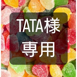 TATA様専用(その他)