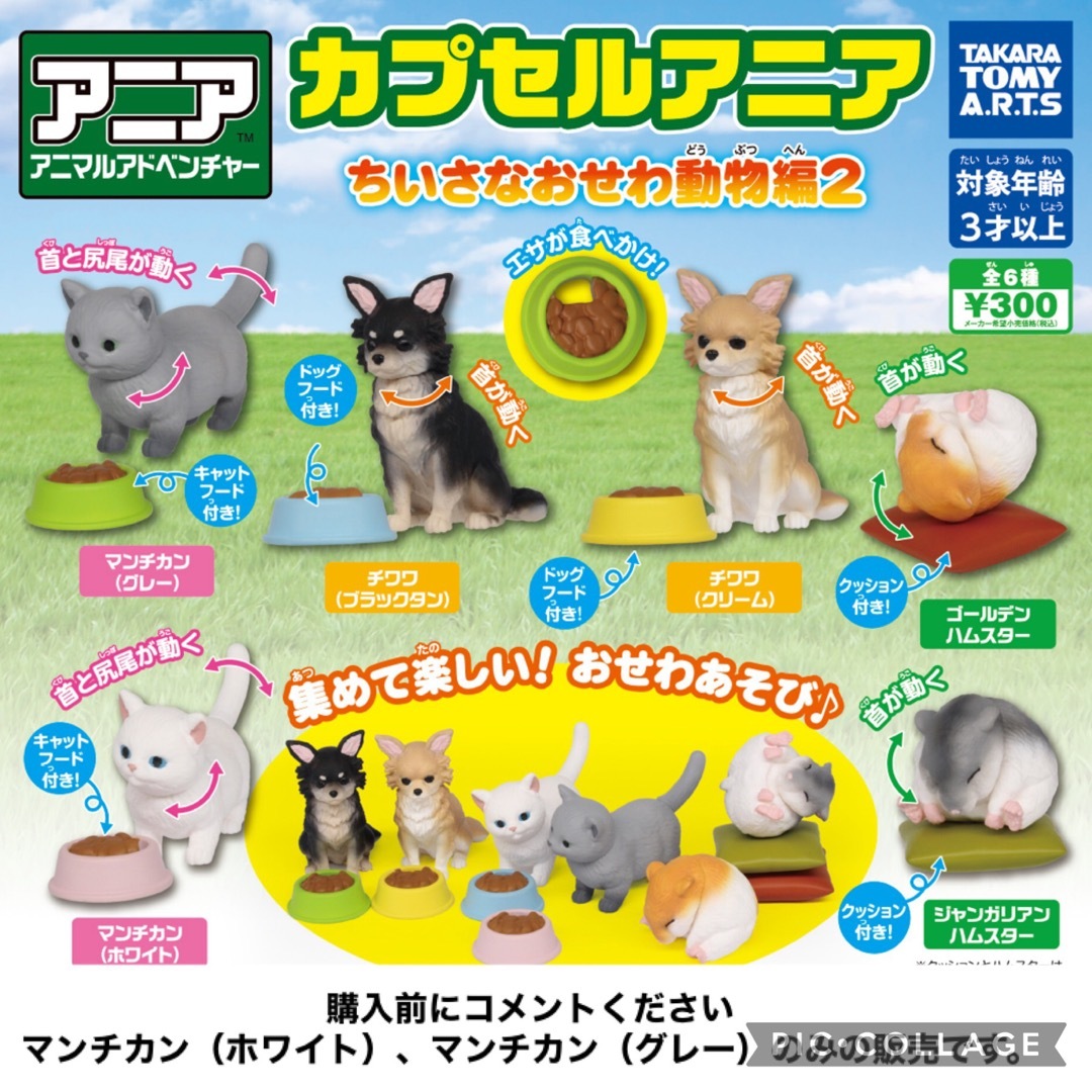 T-ARTS(タカラトミーアーツ)のカプセルアニア　ちいさなおせわ動物編2 マンチカン　ガチャガチャ　フィギュア エンタメ/ホビーのおもちゃ/ぬいぐるみ(キャラクターグッズ)の商品写真