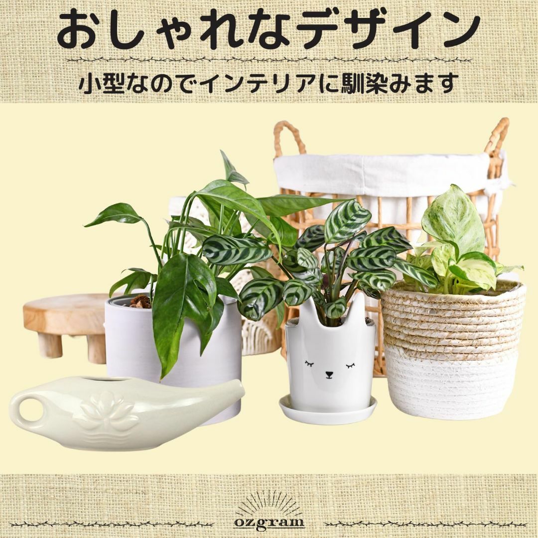 【色: ホワイト】ozgram ネティポット 【ホワイト】観葉植物用じょうろ セ その他のその他(その他)の商品写真