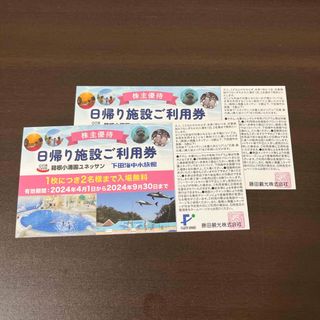 藤田観光　日帰り施設ご利用券　2枚セット　箱根ユネッサン　　下田海中水族館　①(その他)