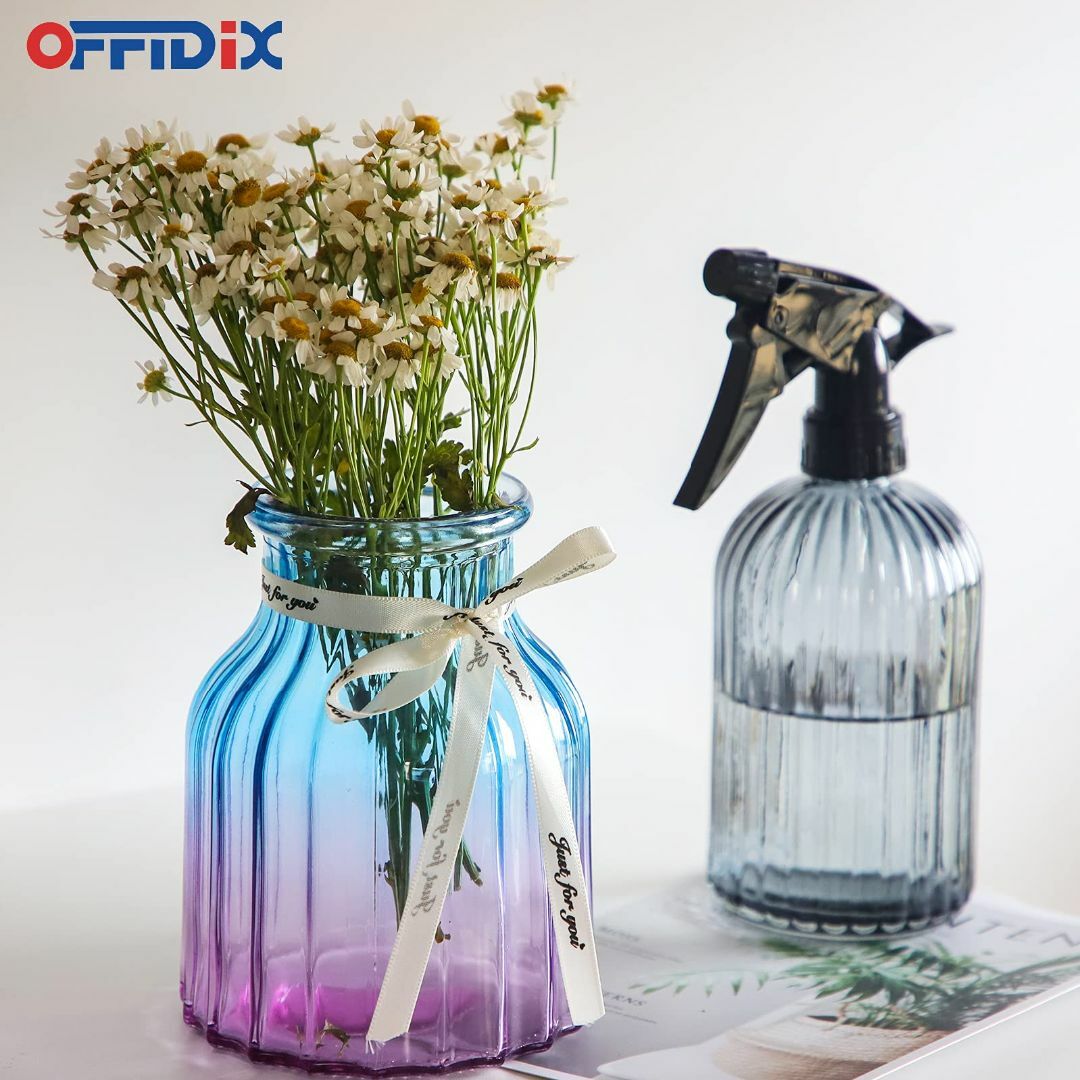 【色: グレー】OFFIDIX 霧吹き 園芸 ガラス 観葉植物 おしゃれ じょう その他のその他(その他)の商品写真