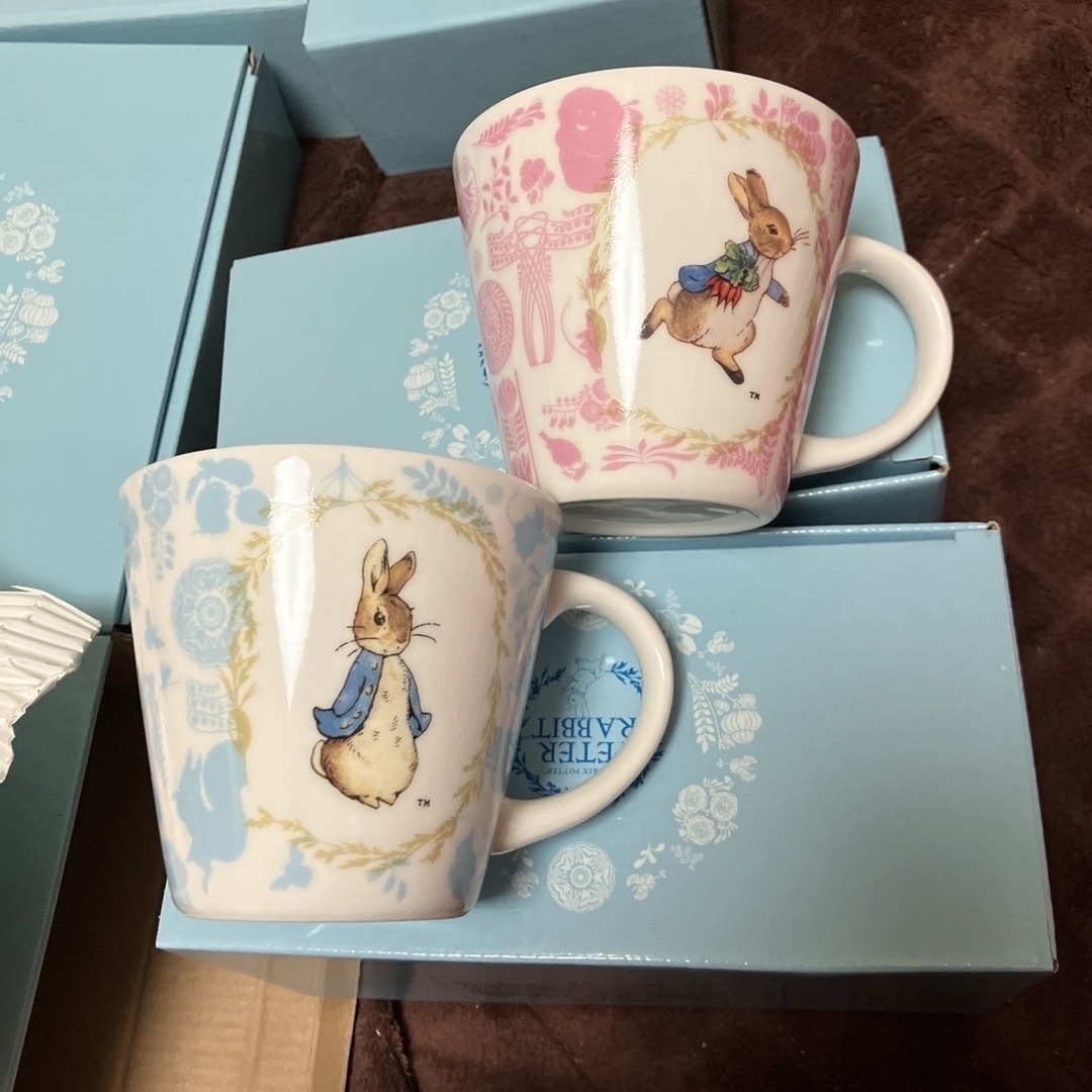 PETER RABBIT（TM）(ピーターラビット)の【新品・未使用】ピーターラビット　食器　山加商店　日本製　12個セット　 インテリア/住まい/日用品のキッチン/食器(食器)の商品写真