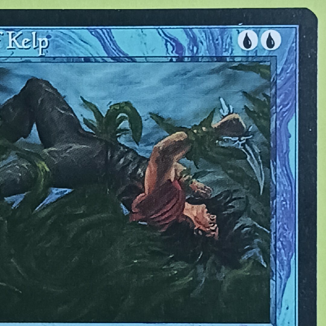 マジック：ザ・ギャザリング(マジックザギャザリング)のMTG Wall of Kelp(キズ) エンタメ/ホビーのトレーディングカード(シングルカード)の商品写真