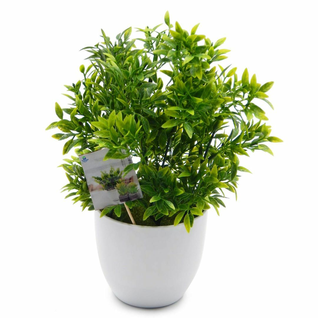 【色: グリーン2】TOSSOW 人工観葉植物 フェイクグリーン 観葉植物 フェ その他のその他(その他)の商品写真