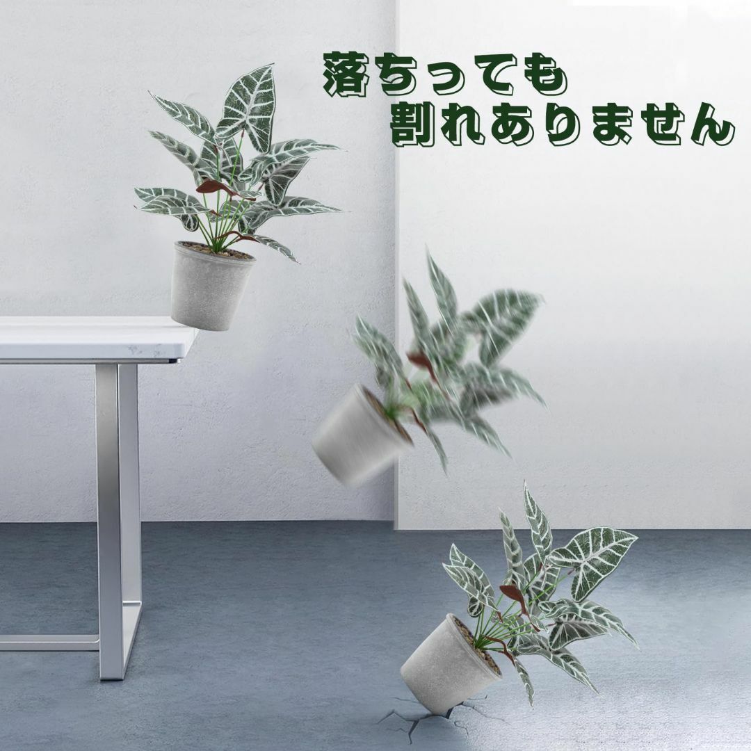 【色: ストロマンテとバンビーノセット】AOKKR 人工観葉植物 フェイクグリー その他のその他(その他)の商品写真