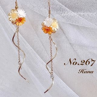 No.267　ビタミンカラー　ウェーブ　本物のお花のピアス　イヤリング