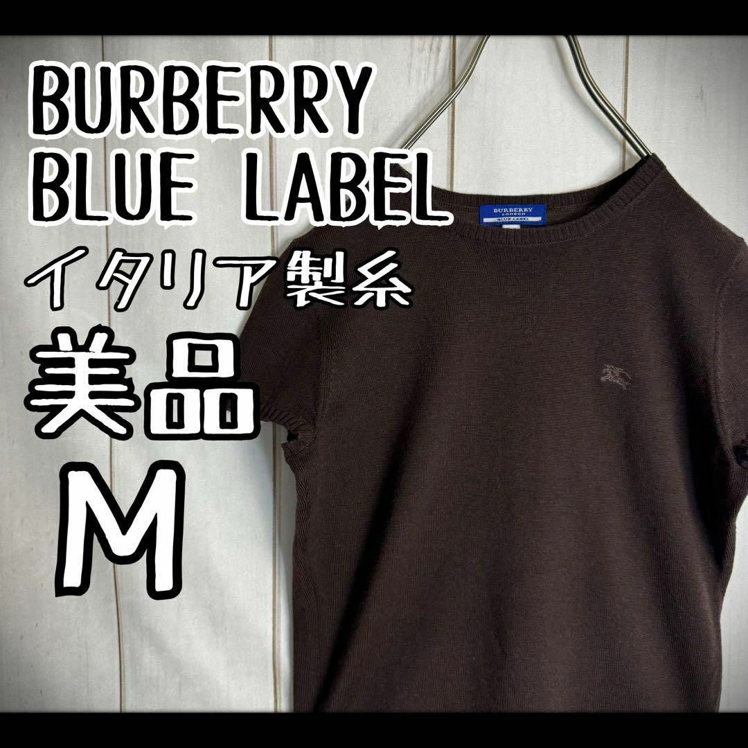 BURBERRY BLUE LABEL(バーバリーブルーレーベル)の【希少デザイン】　美品　バーバリーブルーレーベル　サマーニット　半袖　ホース刺繍 レディースのトップス(ニット/セーター)の商品写真