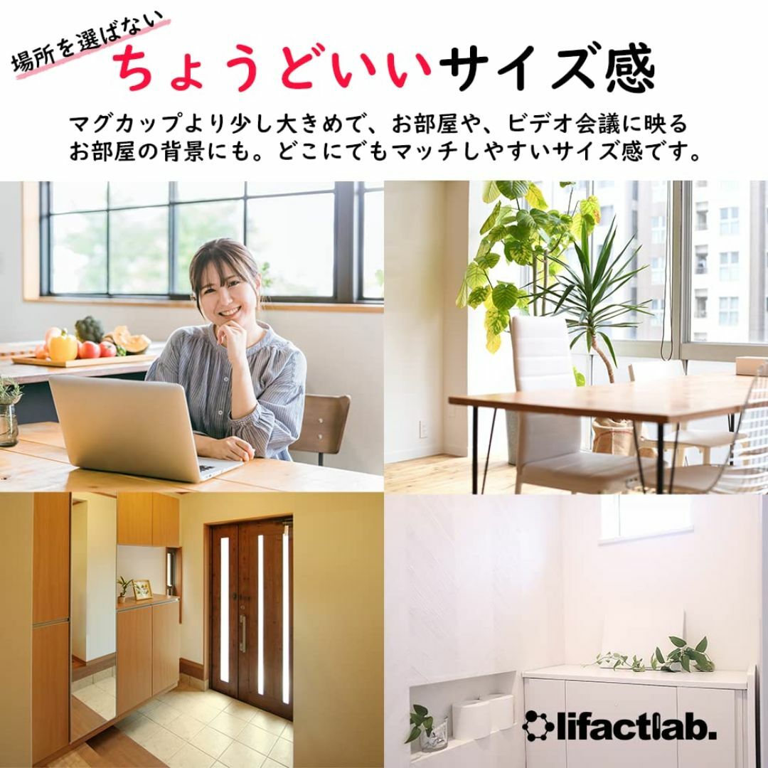 【色: Hige & Kuma】lifactlab. 観葉植物 フェイク フェイ その他のその他(その他)の商品写真