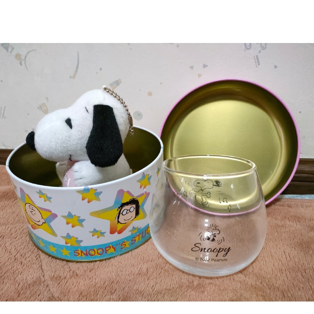 SNOOPY(スヌーピー)のスヌーピー SNOOPY PEANUTS カンカン 小物入れ 収容 ボックス ユ エンタメ/ホビーのおもちゃ/ぬいぐるみ(キャラクターグッズ)の商品写真