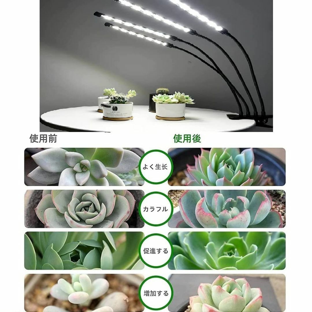 植物育成ライト LED 植物ライト クリップ式 6段階調光 360°調節可能 植 その他のその他(その他)の商品写真