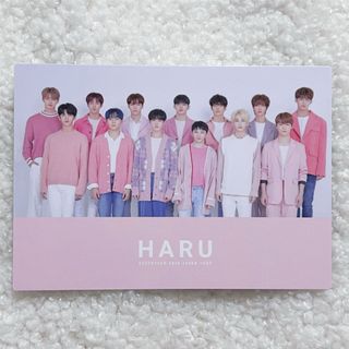 セブンティーン(SEVENTEEN)のSEVENTEEN 2019 HARU トレカ 集合 01(K-POP/アジア)