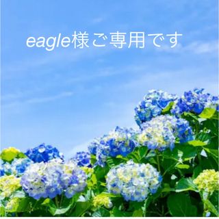 アサヒ(アサヒ)のeagle様ご専用(アミノ酸)